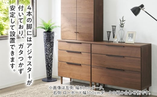 フリーボード Salute サルテ 扉付 幅80cm NA ナチュラル ベージュ 家具 収納 書棚 本棚 完成品 【北海道・東北・沖縄・離島不可】 CN015-NA