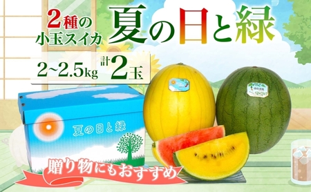 小玉スイカセット 夏の日 緑 赤 黄 北海道 小玉スイカ【2〜2.5kg 2玉】