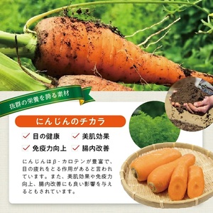 冷凍にんじんペースト1.5kg(500g×3袋) 冷凍便 ※離島発送不可 冷凍 にんじん ニンジン 人参 野菜 野菜ペースト 離乳食 介護食 小分け お菓子作り ゆざ食彩工房 遊佐町 庄内 東北 [1
