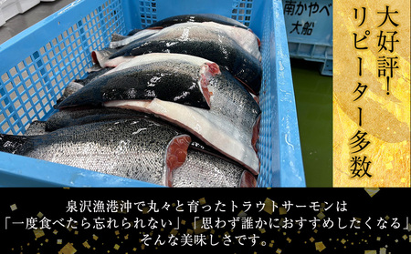 【三印 三浦水産株式会社】木古内町産サーモン 小分け 約1kg