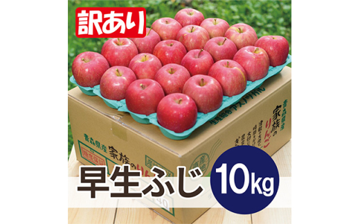 ＜2026年11月発送予定＞平均糖度13度以上! 早生ふじ 約10kg 訳あり【1607523】