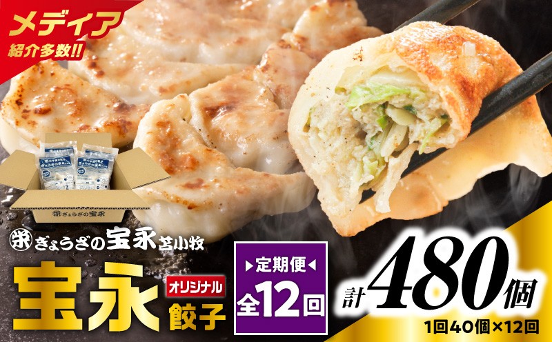 
                  【全12回定期便（毎月）】宝永餃子10個入セット（宝永餃子10個入×4袋）合計1.0kg　T004-T03-05
                