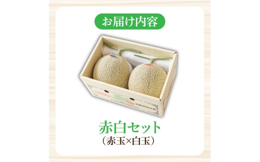 高級土佐アールスメロン2玉入り メロン めろん 赤白セット 赤玉×白玉 3kg以上 舐瓜 果物 くだもの フルーツ デザート スイーツ おやつ 高級 常温 配送【森岡　敬】 [BQBA004]