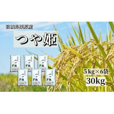 ふるさと納税 栗原市 【令和7年産】宮城栗原産 つや姫 白米30kg (5kg×6袋)