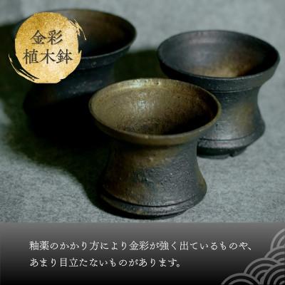 ふるさと納税 河内長野市 金彩植木鉢 ミニ盆栽や多肉植物に 手作り |  | 03