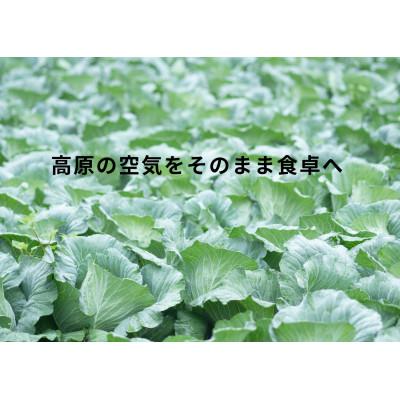 ふるさと納税 阿蘇市 【毎月定期便】【阿蘇 郷乃舎】野菜ソムリエ上級プロ厳選 農家直送こだわり野菜 6〜8品目全3回 |  | 01