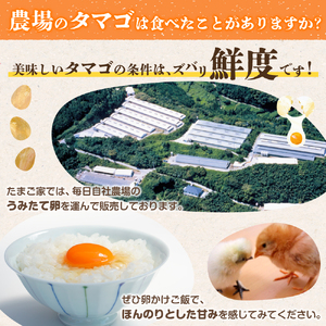 RA-1 たまご家のハーブ卵（笑顔）30個 6ヵ月定期便 太良町産 卵 たまご家 新鮮 濃厚 30個 高原育ち たまご 卵 タマゴ 定期便 6ヵ月