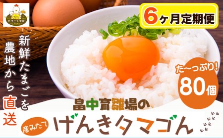 【6ヶ月定期便】畠中育雛場のげんきタマゴん 80個 6回お届けで計480個！《お申込み月の翌月から出荷開始》福岡県   卵  有限会社畠中育雛場