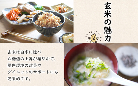 【令和6年産】境町のこだわり玄米「コシヒカリ」10kg(5kg×2袋) 玄米 こしひかり 境町 茨城県 お米 米 こめ コメ S254