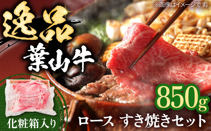 
【化粧箱入り】葉山牛ロース すき焼き セット (葉山牛 ロース 850g) ／ 牛肉 和牛 牛 すきやき すき焼き ロース 肉 贈答 ギフト 神奈川県 葉山町 特産品【(有)葉山旭屋牛肉店】 [ASAP003]
