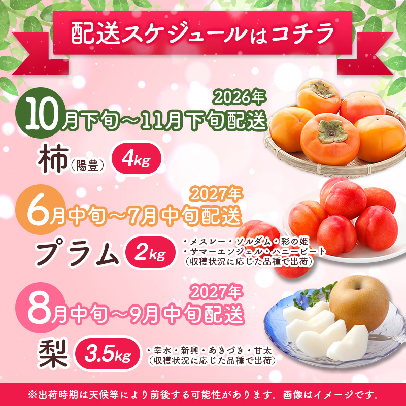 ＜期間限定＞新富町 旬の厳選フルーツ プレミアム便 【全3回】（柿／プラム／梨）デザート 果物 宮崎 ※2026年10月下旬開始予定【E268-03】
