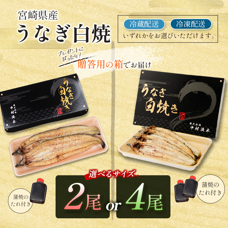 前日配送予約［土用丑の日］うなぎ 白焼き ギフト 2尾 宮崎県産鰻 蒲焼きタレ付（50ml×1本）配送日指定可 国産 有頭 熨斗 贈答品_イメージ4