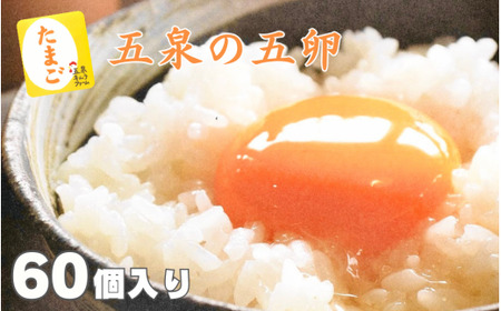 赤たまごMサイズ 60個 産みたて たまご産みたて たまご