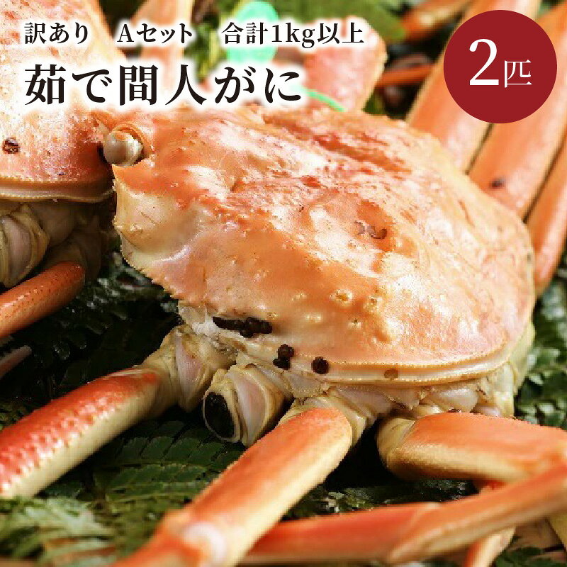 【ふるさと納税】（訳あり）茹で間人がに　2匹　Aセット 選べる 配送時期 魚介 魚介類 かに カニ 蟹 間人ガニ 松葉ガニ ズワイガニ 訳あり ブランドガニ 希少 高価 高級 鮮度 ボイル 2匹 冷蔵