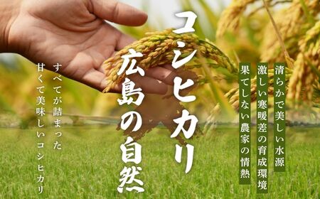 令和7年度新米 広島県産米 コシヒカリ 10kg 一等米 精米【 米 お米 新米 広島県産 おむすび ごはん ゴハン こめ コメ おにぎり 国産】※2025年10月より順次発送予定
