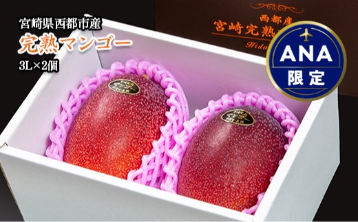 【ANA限定】西都産完熟マンゴー3L×2玉 ひだか農園＜1.8-4＞先行予約 2025年発送 果物 フルーツ くだもの 宮崎県西都市