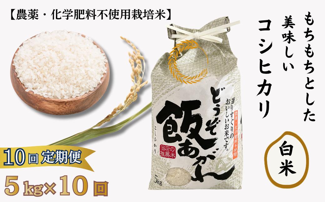 
            【定期便10回】もちもちとした美味しいコシヒカリ 白米【農薬・化学肥料不使用栽培米】5㎏×10回（計50kg）：C220-007
          