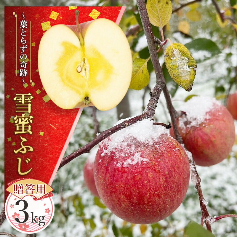 【ふるさと納税】【贈答用】雪蜜ふじ～葉とらずの奇跡～約3kg【青森りんご・マルコウアップル】果物類 フルーツ 林檎 リンゴ 板柳町 青森県 おやつ デザート　お届け：2026年11月下旬～2027年1月下旬