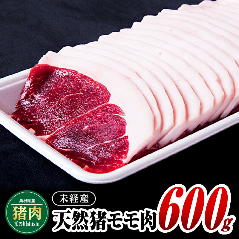 【ふるさと納税】江の川shishi 未経産 猪肉600g【AI-1】｜送料無料 国産 ジビエ 天然ジビエ お肉 肉 おにく にく いのしし肉 イノシシ肉 猪肉 天然猪 モモ肉 もも肉 スライス肉 スライス 冷凍 パック 希少 天然 鍋 焼肉 焼き肉 アウトドア BBQ キャンプ｜