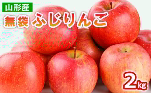 山形産 無袋 ふじりんご 秀2kg(5～8玉) FY25-013