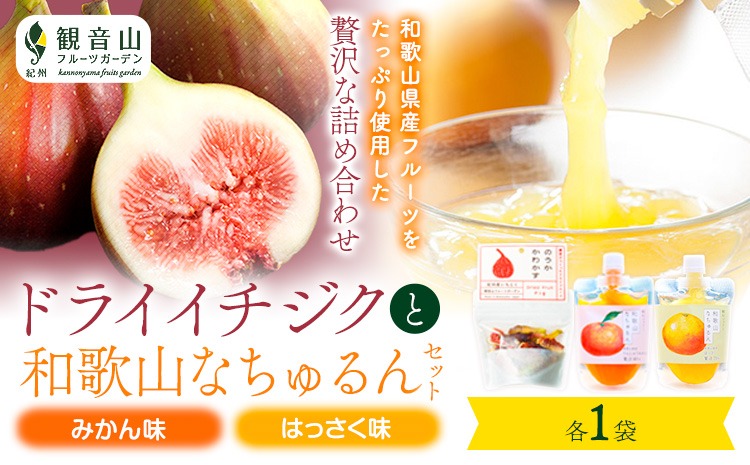 ドライイチジクとなちゅるん(みかん味・はっさく味)のセット 各1袋 有限会社柑香園 《30日以内に出荷予定(土日祝除く)》 和歌山県 紀の川市 フルーツ 果物 柑橘 添加物不使用 ゼリー ドライフルーツ みかん はっさく イチジク いちじく 送料無料---wsk_kke105_30d_26_8500_3p---