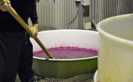 【中俣合名会社】本格芋焼酎3本セット(中俣酒造/037-1136) 焼酎 芋 さつまいも 酒 アルコール 蔵 特選 酒造 鹿児島 飲み比べ お試し 薩摩桐野 なかまた 濱崎太平次