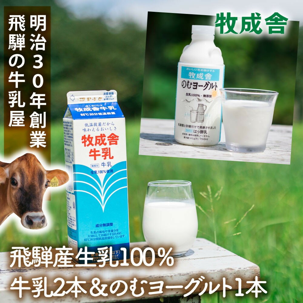 【ふるさと納税】【飛騨産低温殺菌牛乳・飲むヨーグルトセット】牧成舎牛乳1000ml×2本／のむヨーグルト750ml×1本｜食品添加物不使用・濃厚・お取り寄せ・子どもにも｜5000円 (有)牧成舎 DF044