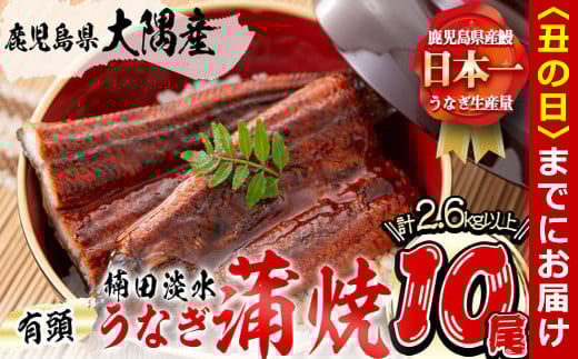 【丑の日までに配送】楠田の極うなぎ 蒲焼き 260g以上×10尾(計2.6kg以上) wa24-003-us