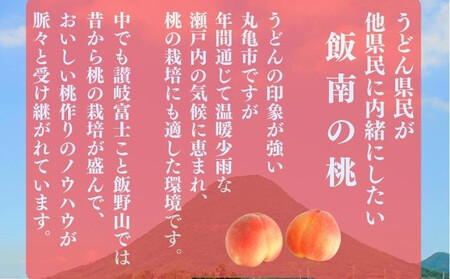 丸亀市産厳選飯南の桃 約4kg 11玉～14玉 【2027年発送】 もも フルーツ