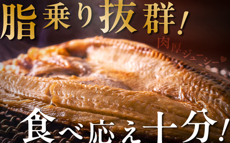 【北海道浜中町産】天日干し真ほっけ開き（大サイズ×3枚）　北海道 浜中町産 天日干し 真ほっけ開き 大サイズ × 3枚 干物 BBQ ギフト グルメ 食品 海鮮 魚介類 海の幸 海産物 加工品 ご飯の