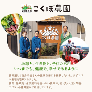 地粉うどんセット（有機JAS認証取得の農地で栽培した小麦100％18食分） 250g6束セット