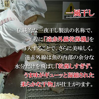 ふるさと納税 佐世保市 長崎ひもの「出島」 |  | 03