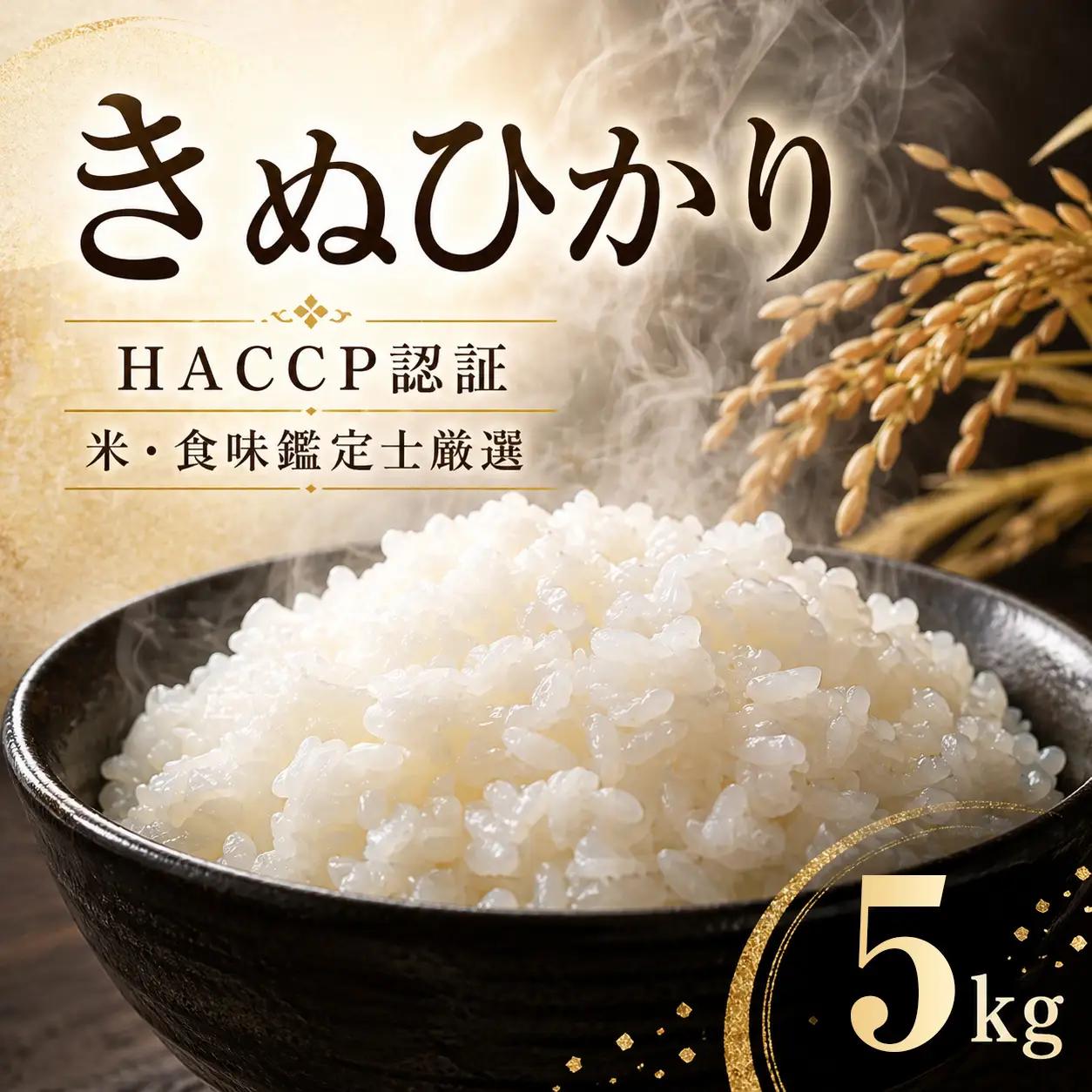 【10月より順次発送】令和8年度産 丹波産 きぬひかり 5kg / 米 お米 国産 綾部市 / 株式会社丸越［BSCI003］