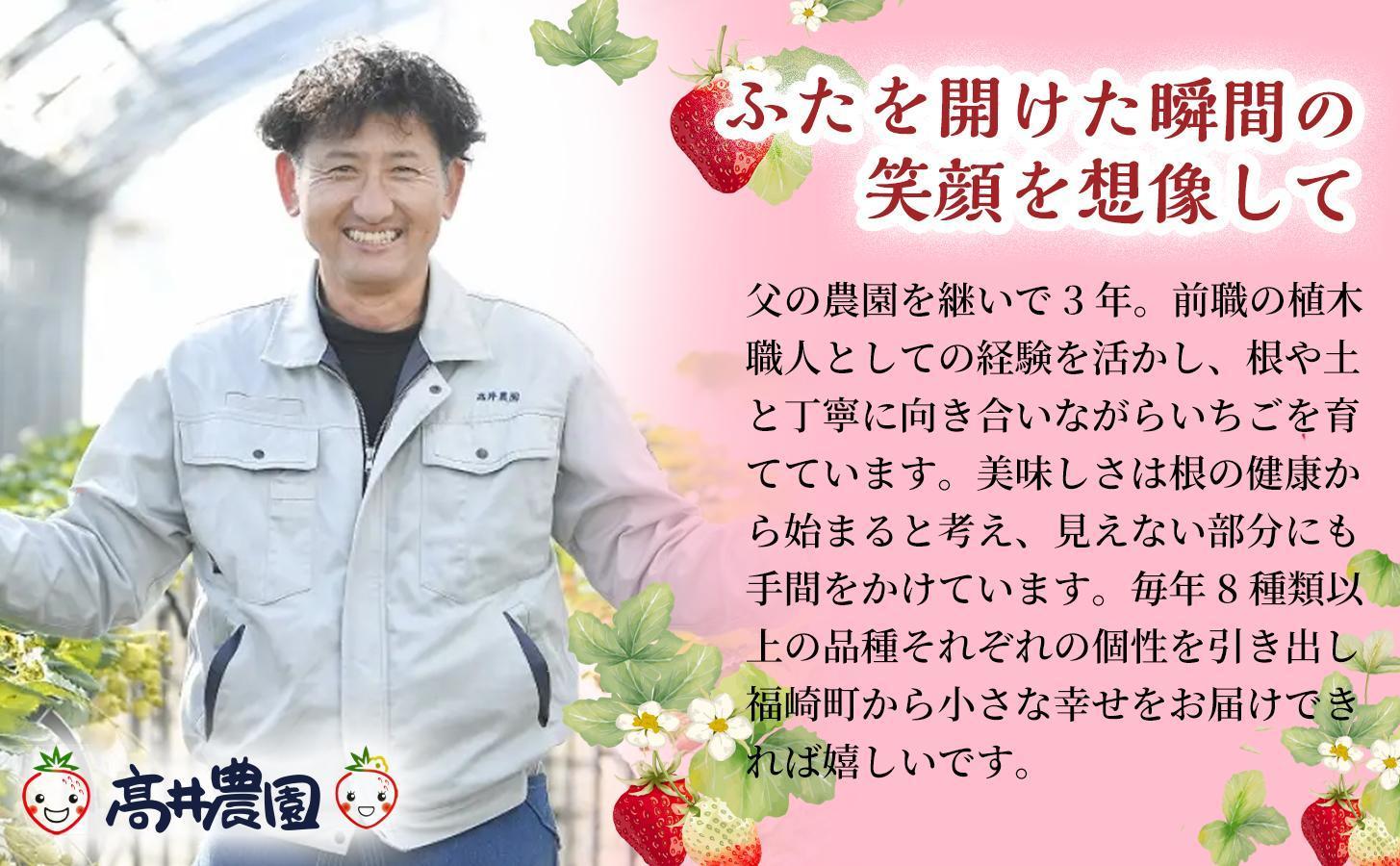 【定期便2回】【爽やかな甘酸っぱさ】完熟いちごシャーベット 10個 いちご シャーベット スイーツ 果物 フルーツ 大粒 濃厚 産地直送  ギフト 贈答用 兵庫県 福崎町 10個 2回お届け