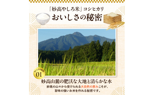 【先行予約】 令和8年産 【12ヵ月定期便】 新潟県 妙高やしろ米 コシヒカリ60kg (5㎏×12回) 【11月中旬より発送】 定期便 お米 米 コメ 精米 新潟 妙高市 米どころ こめ ご飯 ごは
