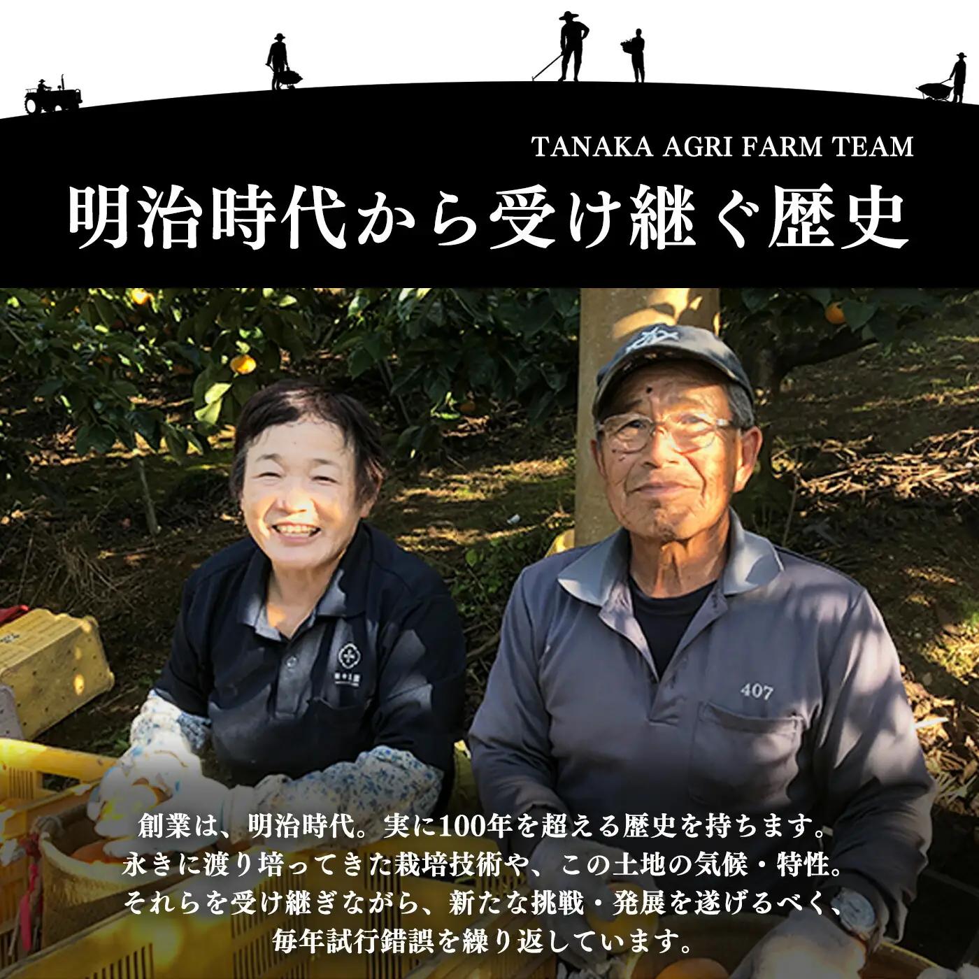ミニトマト 約400gx4約 計1.6kg ｜ヤサイ 野菜 やさい トマト とまと ミニトマト 奈良県 五條市