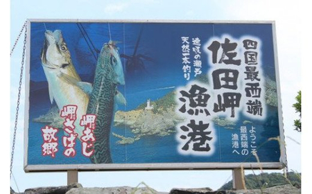【数量限定】佐田岬海士のあわび・さざえセットA 計3kg ※北海道・東北地方・沖縄・離島への配送不可 IKTJ001