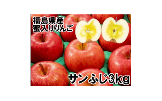 
福島県のりんご　サンふじ3kg蜜入り(8～12玉)　ギフト・贈答用【1293248】
