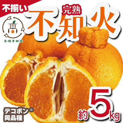 【先行予約!2026年2月上旬から順次発送】完熟 不知火 約5kg(20玉～30玉)  サイズ不揃い【1567822】