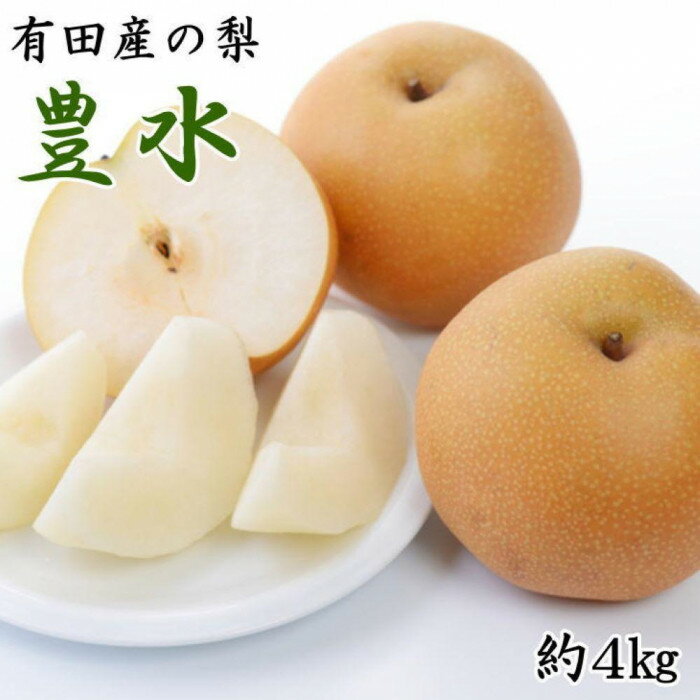【ふるさと納税】[厳選・産直]有田産の梨(豊水)約4kg★2025年8月中旬頃より順次発送 | 先行予約 果物 くだもの フルーツ なし 人気 美味しい おすすめ お取り寄せ グルメ 期間限定 数量限定 産直 産地直送