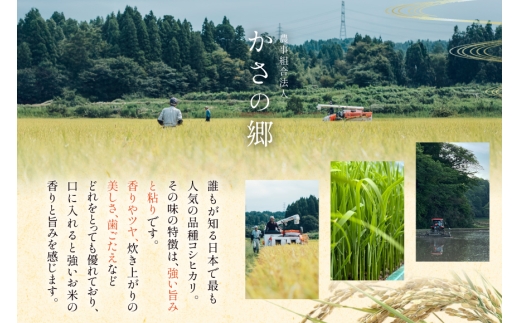 米 令和8年産 6回 定期便 特別栽培米 コシヒカリ 5kg [ かさの郷 石川県津幡町 tb17bgj610011] お米 こめ 令和8年 こしひかり 10キロ おこめ ご飯 ごはん ゴハン 精米 