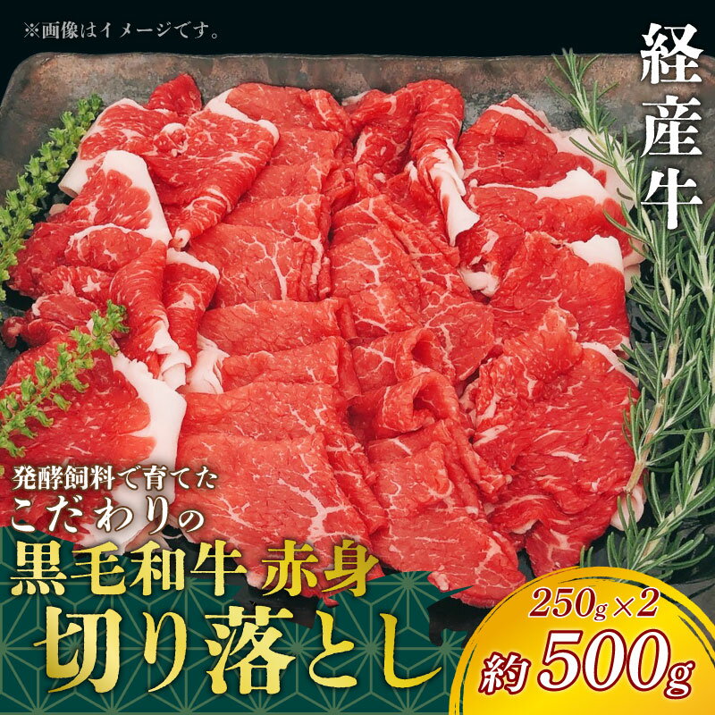 【ふるさと納税】 黒毛和牛 赤身切り落とし 約500g (250g×2) 冷凍 経産牛 切り落とし 小分け パック 赤身 肉 牛肉 国産 切落し 赤身肉 国産牛肉 国産牛 お肉 赤み 切り落し 切り落とし 人気 おすすめ 愛知県 南知多町