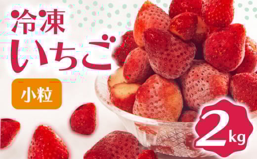冷凍 いちご 2kg 完熟 ヘタ取り 小粒 イチゴ 苺 冷凍いちご 果物 スイーツ デザート フルーツ アイス ジャム シャーベット ベリー 氷菓  甘い オススメ 人気 滋賀県 竜王町 ひさだ苺農園
