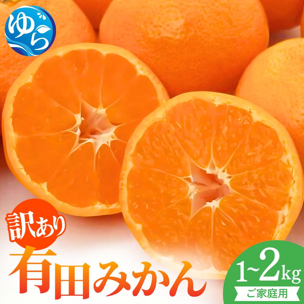 【ふるさと納税】【先行予約】訳ありご家庭用有田みかん 【選べる容量】1kg/1.5kg（箱込み）/2kg ※2025年11月上旬～2026年1月中旬に順次発送 / 和歌山県 柑橘 みかん 甘い 蜜柑 フルーツ 果物 くだもの 食品 人気 晩柑 おすすめ 送料無料 産地直送 由良町