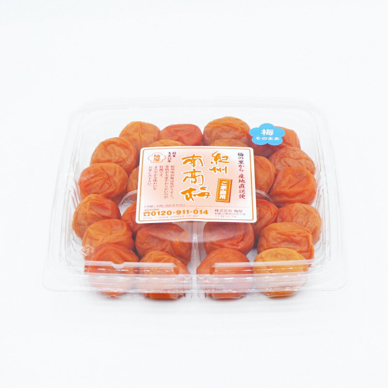 【ふるさと納税】＼梅屋レビューキャンペーン／ ご家庭用 紀州南高梅梅 そのまま 450g / 田辺市 紀州南高梅 南高梅 梅干し 梅干 梅 白干し梅 昔ながらの梅干し 家庭用 お家用