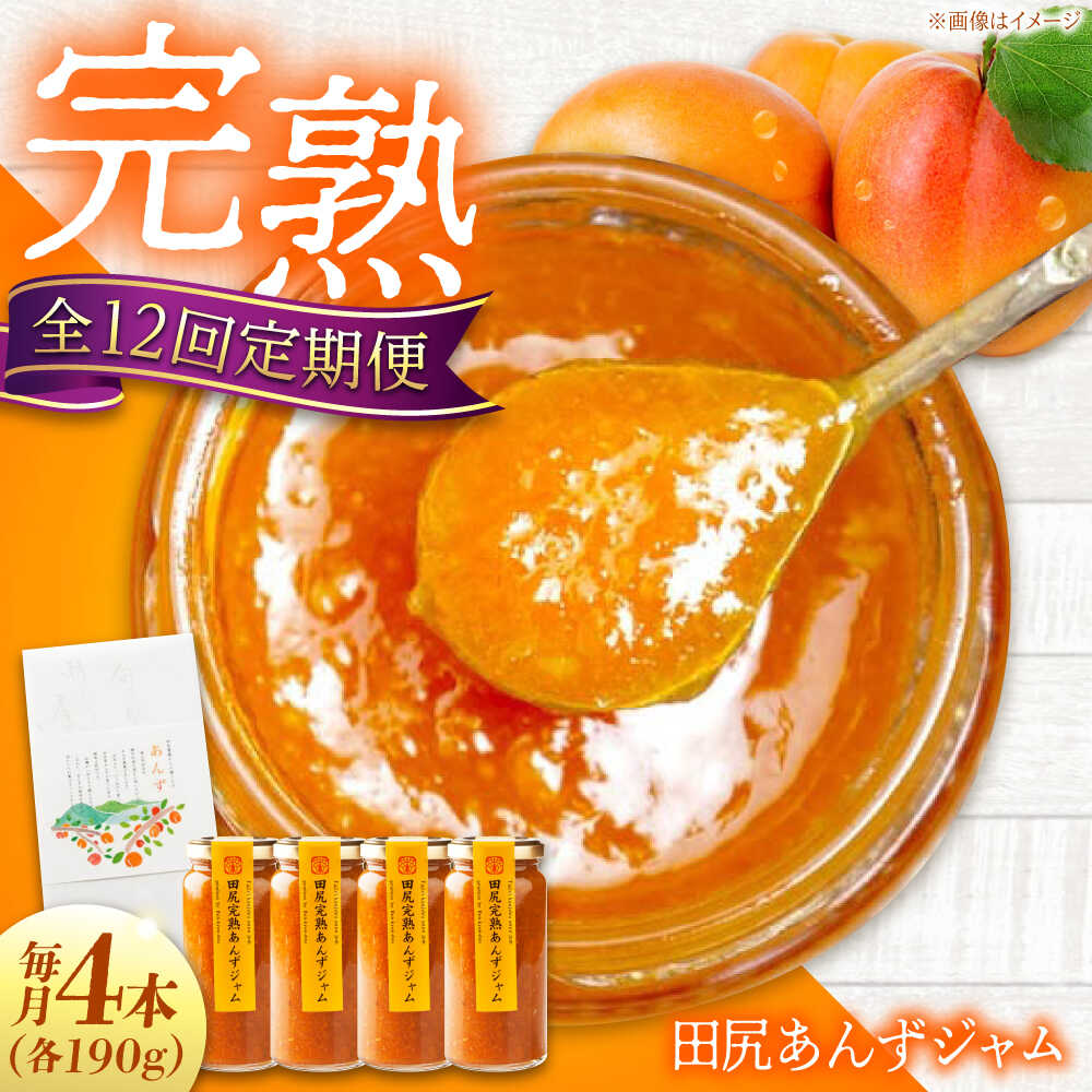【ふるさと納税】【全12回定期便】 ジャム 田尻完熟あんずジャム (4本) ジャム 果物 あんず パン 甘い 菓子 朝ごはん おすすめ 人気 フルーツジャム トースト ヨーグルト 瓶詰め ギフト 贈り物 定期便 送料無料 230,000円 23万円 広島県福山市/有限会社勉強堂[BAFL010]