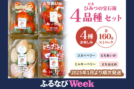 【ふるなびWEEK対象】ひみつ (日光) の宝石箱 4品種セット「とちおとめ・スカイベリー・とちあいか・ミルキーベリー」計160g×4パック FN-Limited-WE [0650f]