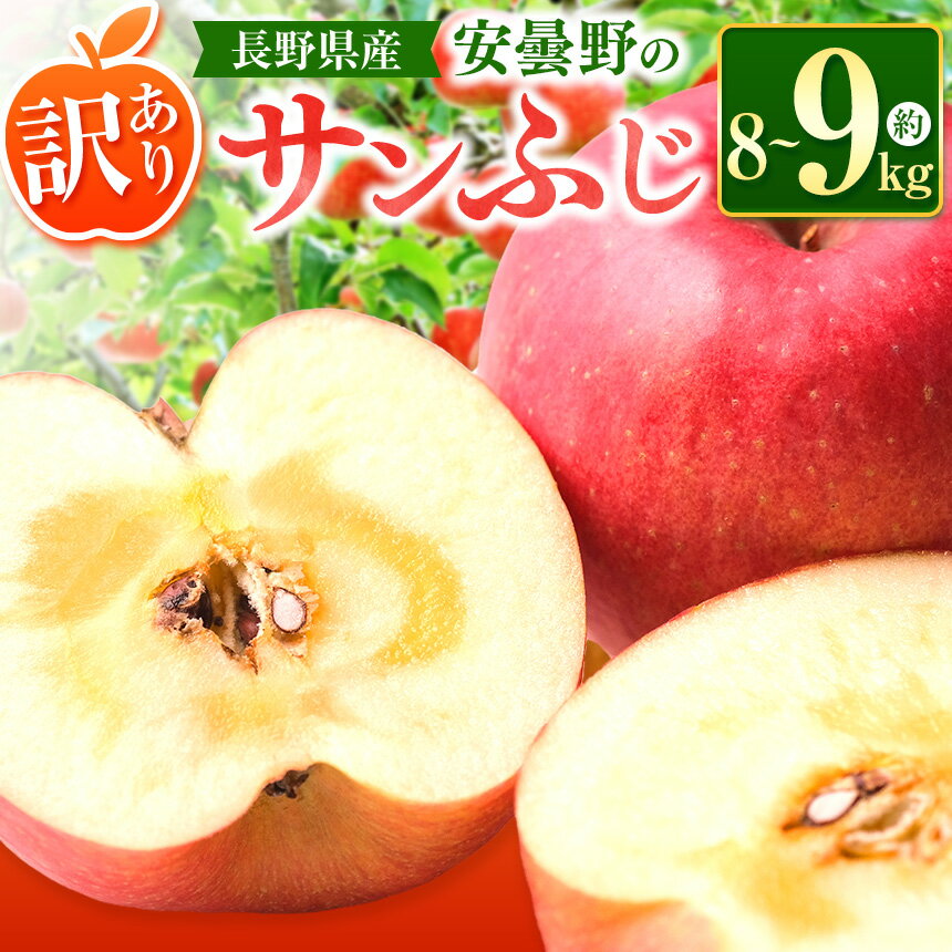 【ふるさと納税】*【2025年先行予約】東印平林農園 訳あり サンふじ 約8～9kg ｜ リンゴ りんご 林檎 果物 フルーツ 果実 果汁 サンふじ さんふじ 家庭用 わけあり 訳アリ 長野県 松川村 信州 安曇野