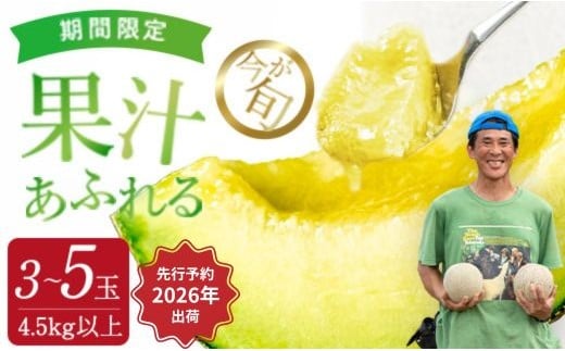 【来年2026年】先行予約！ジューシーな果汁たっぷりメロン ＼生産量日本一の実力！／ 旬の イバラキング メロン 3~5玉 合計4.5kg以上｜茨城県 鉾田市産 めろん 方波見農園 《安心安全栽培》上品な甘さ 絶品 産地直送 青肉 高級 おすすめ 人気 BMW農法 ジューシー 旬 大きい 甘い 国産 フルーツ 果物 ギフト プレゼント 贈り物