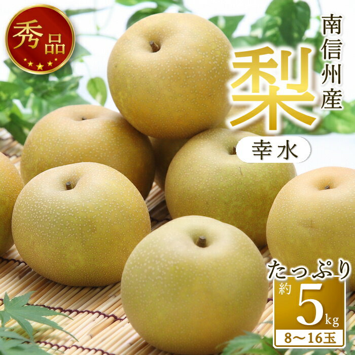 【ふるさと納税】【南信州産】梨「幸水」秀品約5kg（8玉〜16玉）＜2025年8月下旬より発送＞【配送不可地域：離島】